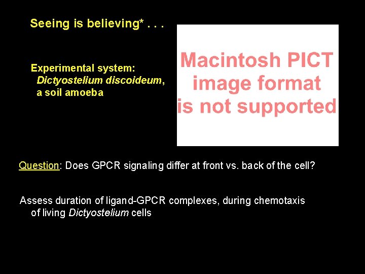 Seeing is believing*. . . Experimental system: Dictyostelium discoideum, a soil amoeba Question: Does