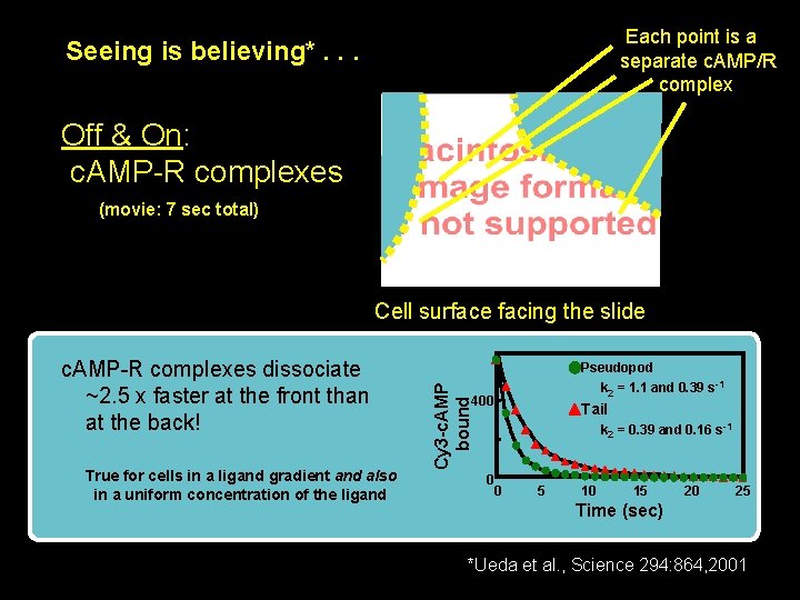 Each point is a separate c. AMP/R complex Seeing is believing*. . . Off