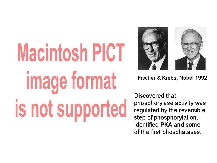 Fischer & Krebs, Nobel 1992 Discovered that phosphorylase activity was regulated by the reversible