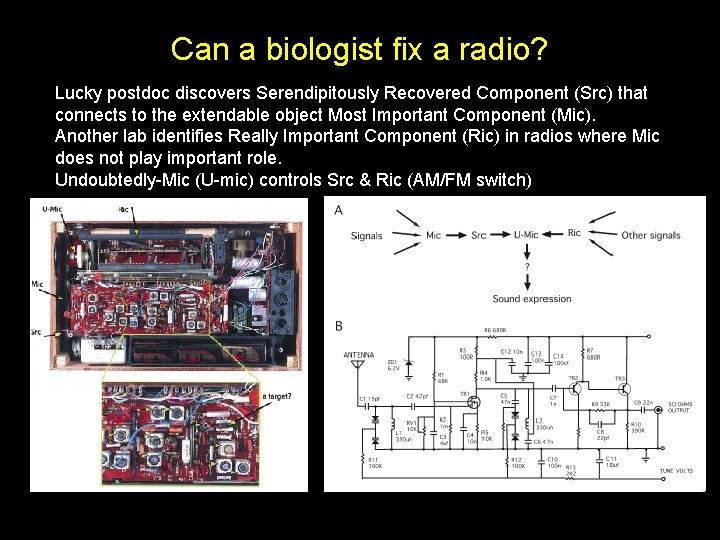 Can a biologist fix a radio? Lucky postdoc discovers Serendipitously Recovered Component (Src) that