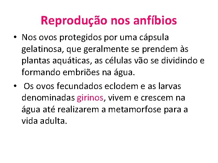 Reprodução nos anfíbios • Nos ovos protegidos por uma cápsula gelatinosa, que geralmente se