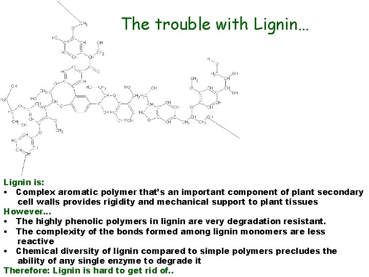 The trouble with Lignin… Lignin is: • Complex aromatic polymer that’s an important component