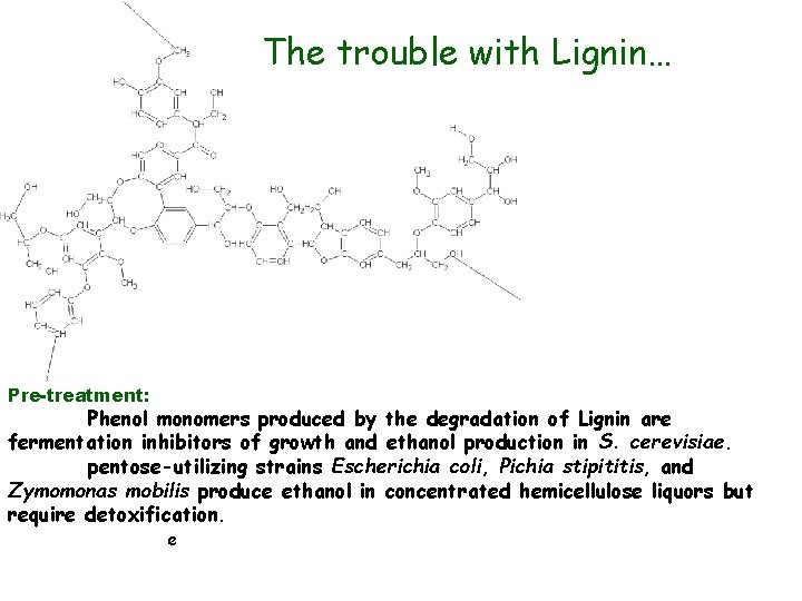 The trouble with Lignin… Pre-treatment: Phenol monomers produced by the degradation of Lignin are