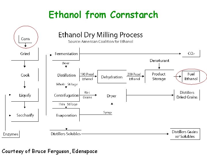 Ethanol from Cornstarch Courtesy of Bruce Ferguson, Edenspace 