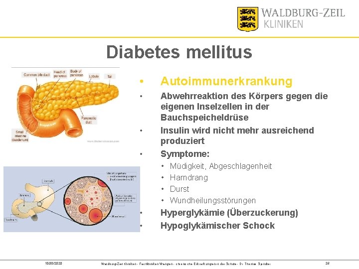 Diabetes mellitus • Autoimmunerkrankung • Abwehrreaktion des Körpers gegen die eigenen Inselzellen in der
