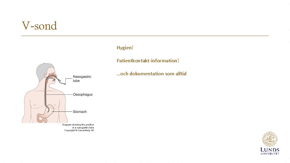 V-sond Hygien! Patientkontakt-information! …och dokumentation som alltid 