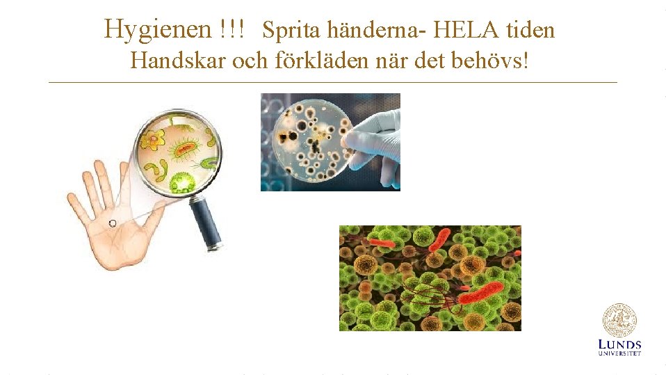Hygienen !!! Sprita händerna- HELA tiden Handskar och förkläden när det behövs! 