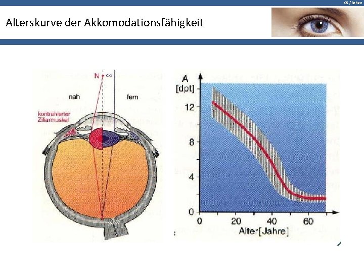 05 / Sehen Alterskurve der Akkomodationsfähigkeit 