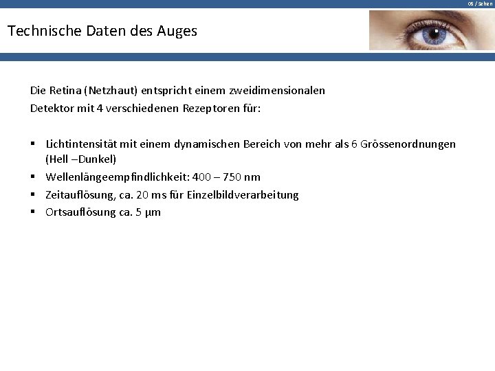 05 / Sehen Technische Daten des Auges Die Retina (Netzhaut) entspricht einem zweidimensionalen Detektor