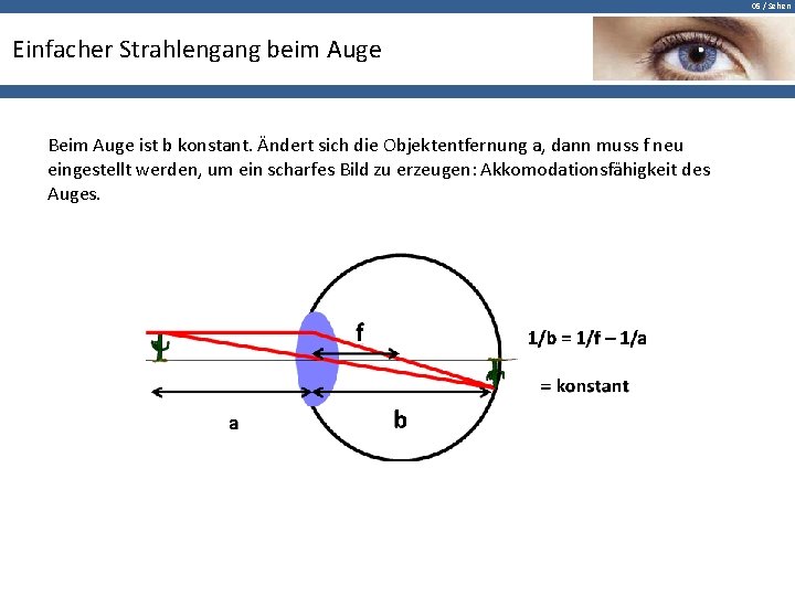 05 / Sehen Einfacher Strahlengang beim Auge Beim Auge ist b konstant. Ändert sich