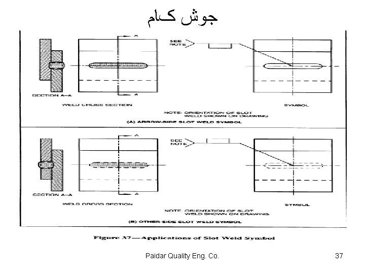  ﺟﻮﺵ کﺎﻡ Paidar Quality Eng. Co. 37 