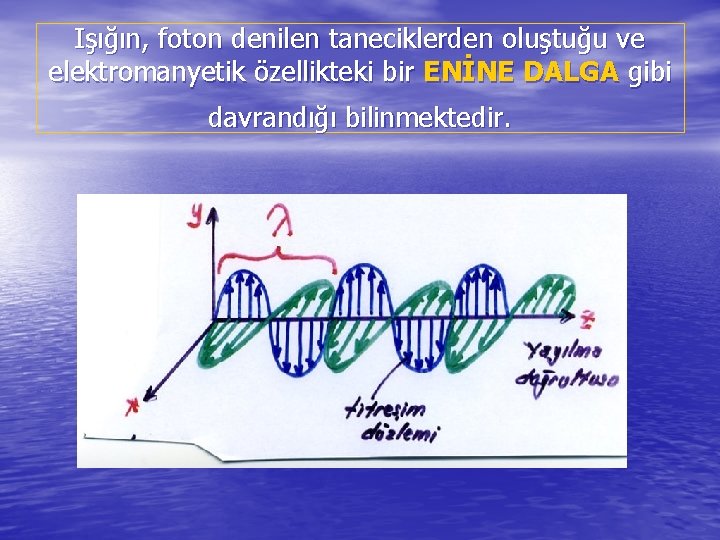 Işığın, foton denilen taneciklerden oluştuğu ve elektromanyetik özellikteki bir ENİNE DALGA gibi davrandığı bilinmektedir.