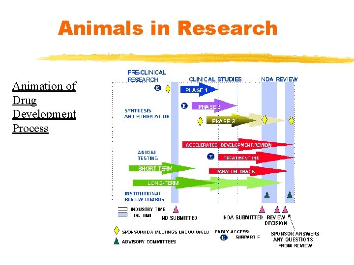 Animals in Research Animation of Drug Development Process 