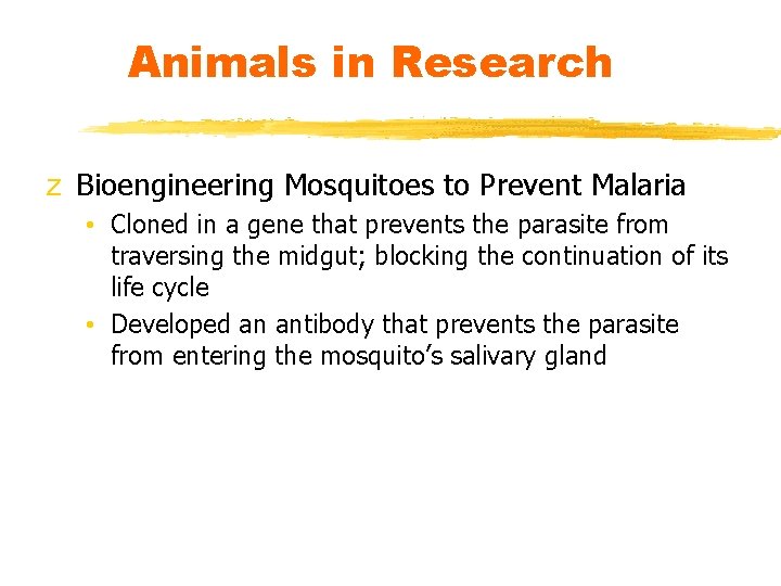 Animals in Research z Bioengineering Mosquitoes to Prevent Malaria • Cloned in a gene