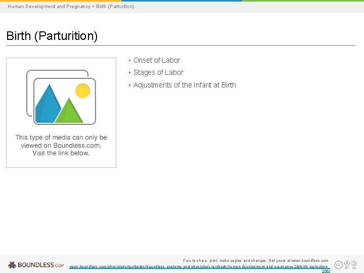 Human Development and Pregnancy > Birth (Parturition) • Onset of Labor • Stages of