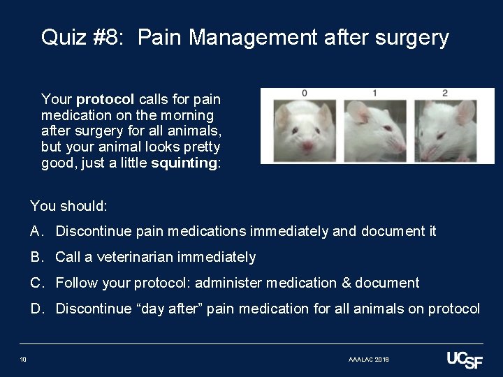 Quiz #8: Pain Management after surgery Your protocol calls for pain medication on the