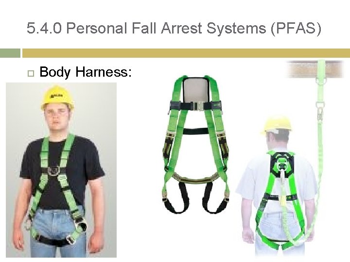 5. 4. 0 Personal Fall Arrest Systems (PFAS) Body Harness: 