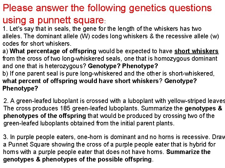 Please answer the following genetics questions using a punnett square: 1. Let's say that