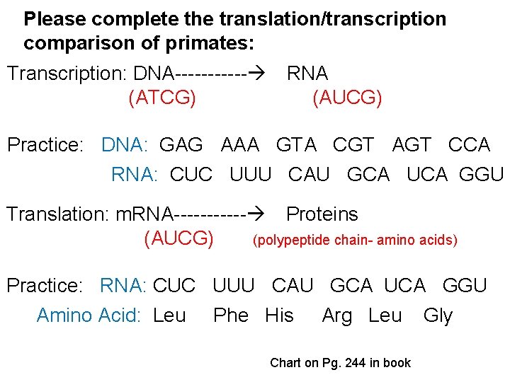 Please complete the translation/transcription comparison of primates: Transcription: DNA------ RNA (ATCG) (AUCG) Practice: DNA: Please complete the translation/transcription comparison of primates: Transcription: DNA------ RNA (ATCG) (AUCG) Practice: DNA: