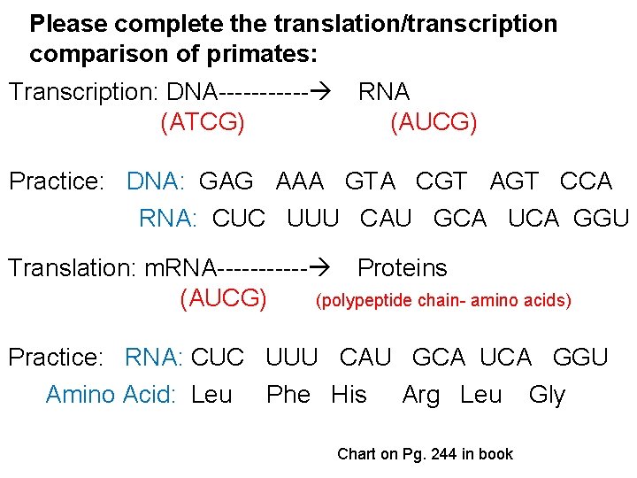 Please complete the translation/transcription comparison of primates: Transcription: DNA------ RNA (ATCG) (AUCG) Practice: DNA: