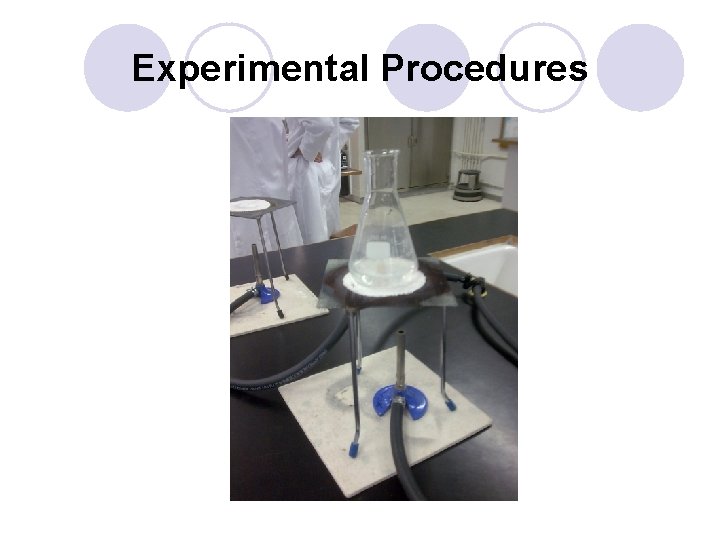 Experimental Procedures 