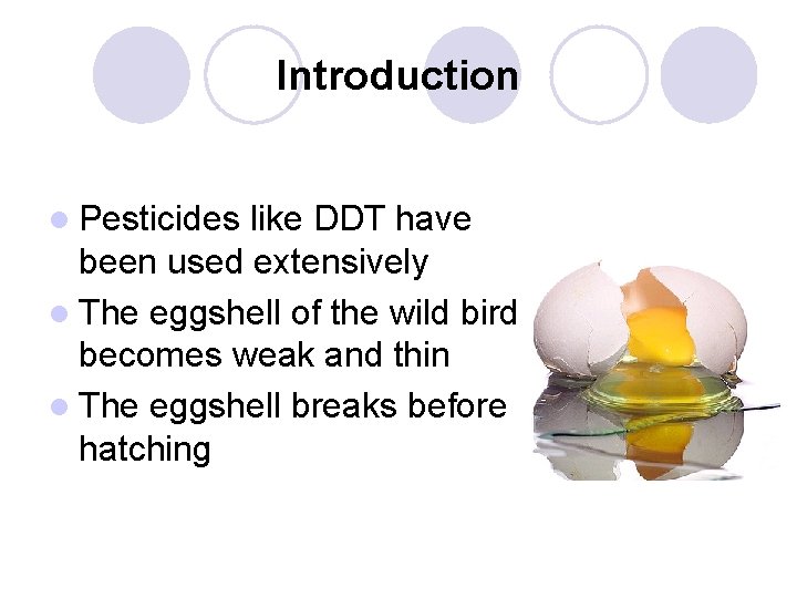 Introduction l Pesticides like DDT have been used extensively l The eggshell of the