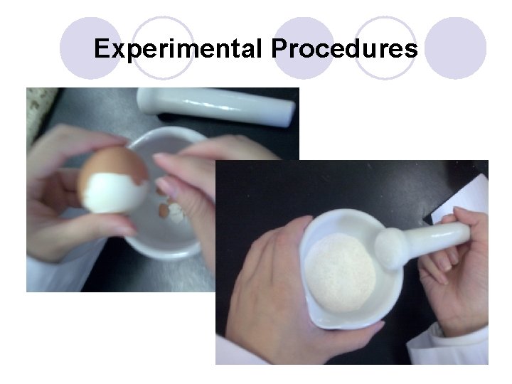 Experimental Procedures 
