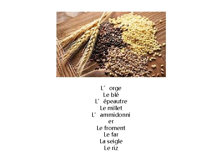 L’orge Le blé L’épeautre Le millet L’ammidonni er Le froment Le far La seigle