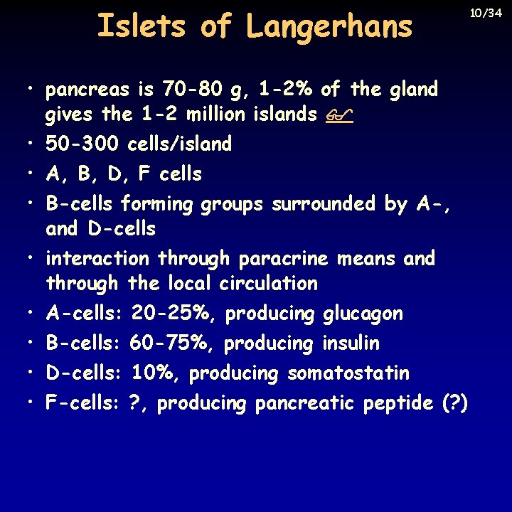 Islets of Langerhans • pancreas is 70 -80 g, 1 -2% of the gland