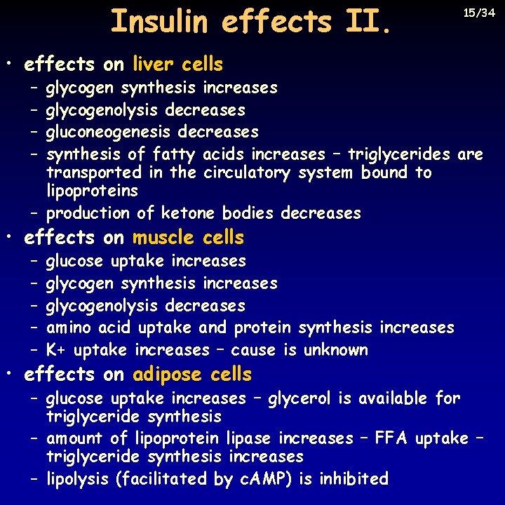 Insulin effects II. 15/34 • effects on liver cells – – glycogen synthesis increases