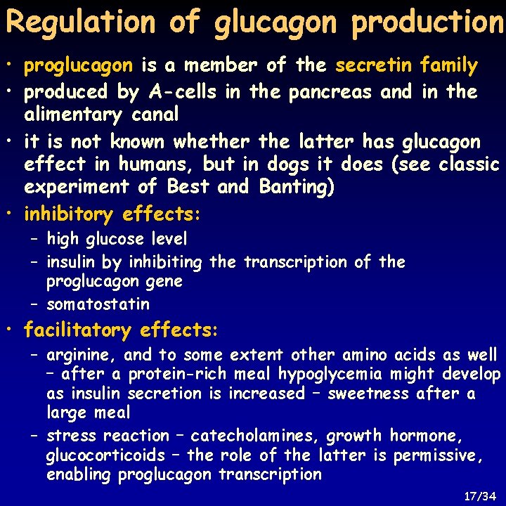 Regulation of glucagon production • proglucagon is a member of the secretin family •