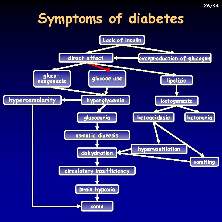 26/34 Symptoms of diabetes Lack of insulin direct effect gluconeogenesis hyperosmolarity glucose use hyperglycemia