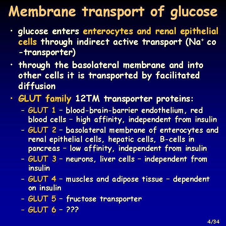 Membrane transport of glucose • glucose enters enterocytes and renal epithelial cells through indirect