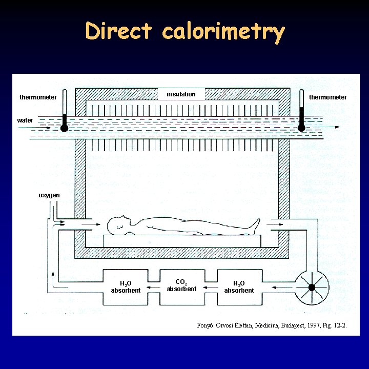 Direct calorimetry insulation thermometer water oxygen H 2 O absorbent CO 2 absorbent H