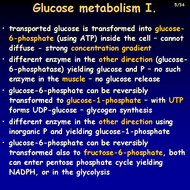 Glucose metabolism I. 5/34 • transported glucose is transformed into glucose 6 -phosphate (using