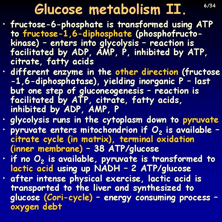 Glucose metabolism II. 6/34 • fructose-6 -phosphate is transformed using ATP to fructose-1, 6