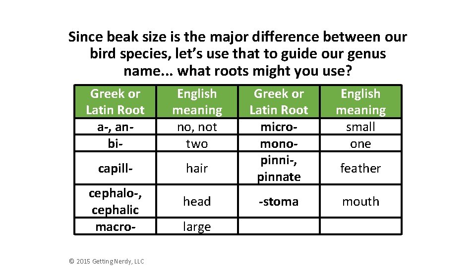 Since beak size is the major difference between our bird species, let’s use that