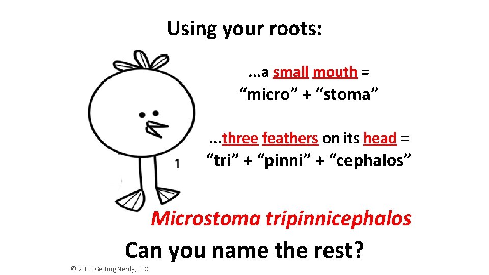 Using your roots: . . . a small mouth = “micro” + “stoma”. .