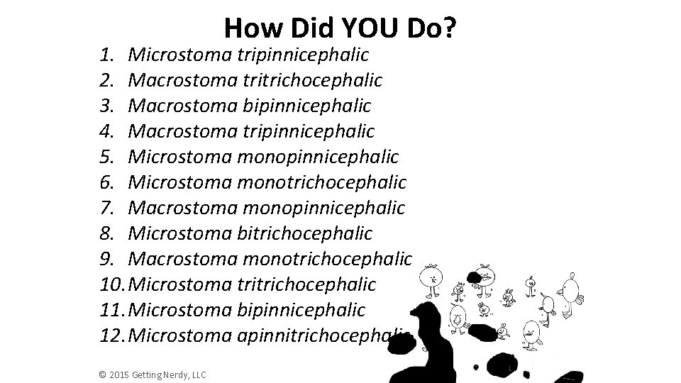 How Did YOU Do? 1. Microstoma tripinnicephalic 2. Macrostoma tritrichocephalic 3. Macrostoma bipinnicephalic 4.