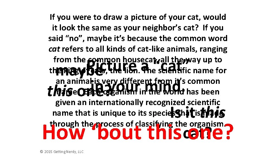 If you were to draw a picture of your cat, would it look the