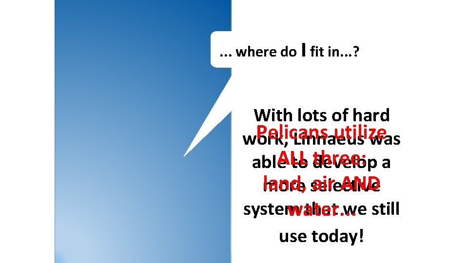 . . . where do I fit in. . . ? With lots of