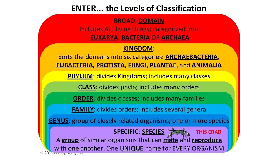 ENTER. . . the Levels of Classification BROAD: DOMAIN Includes ALL living things; categorized