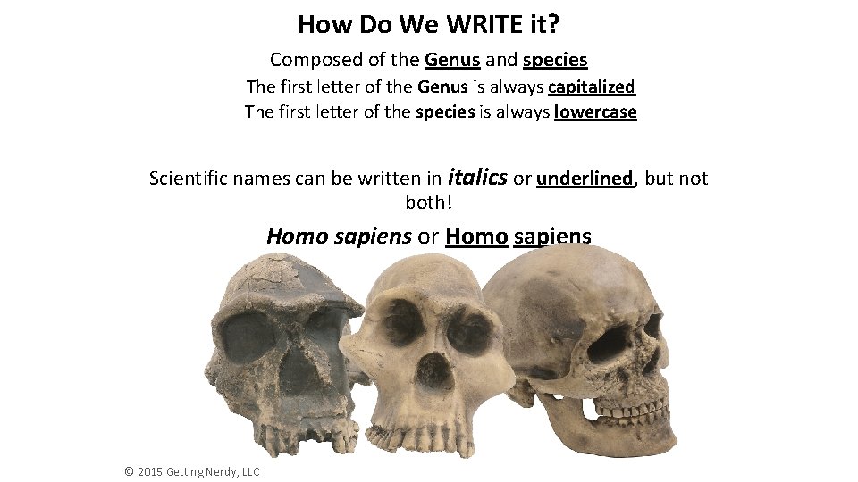 How Do We WRITE it? Composed of the Genus and species The first letter