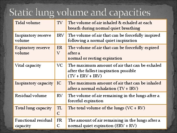 Static lung volume and capacities Tidal volume TV The volume of air inhaled &