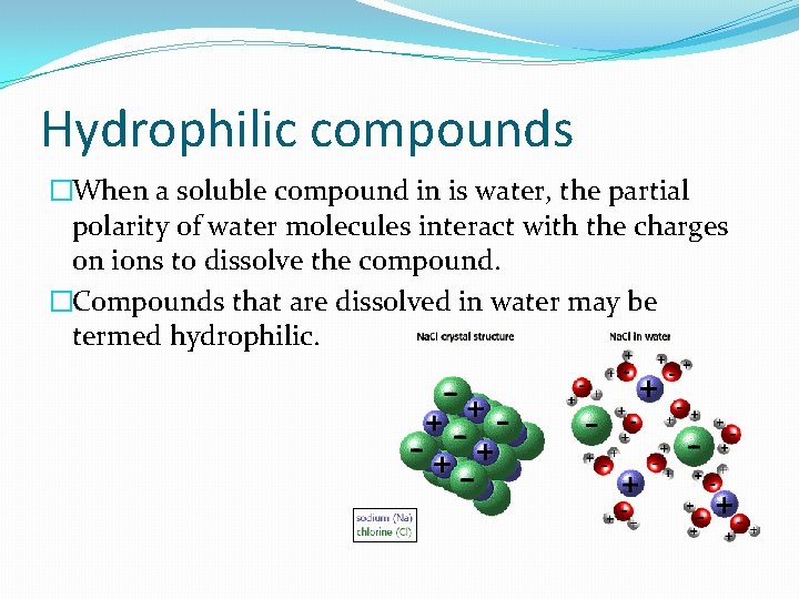 Hydrophilic compounds �When a soluble compound in is water, the partial polarity of water Hydrophilic compounds �When a soluble compound in is water, the partial polarity of water
