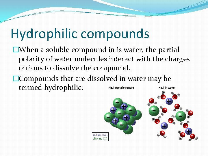 Hydrophilic compounds �When a soluble compound in is water, the partial polarity of water