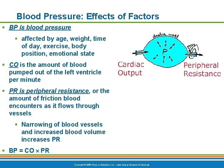 Blood Pressure: Effects of Factors § BP is blood pressure § affected by age,