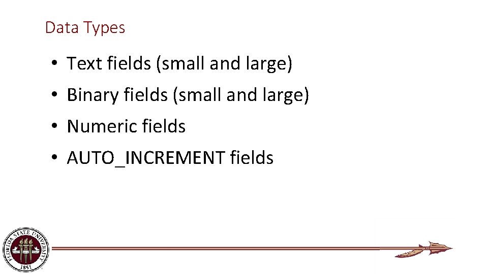 Data Types • Text fields (small and large) • Binary fields (small and large)