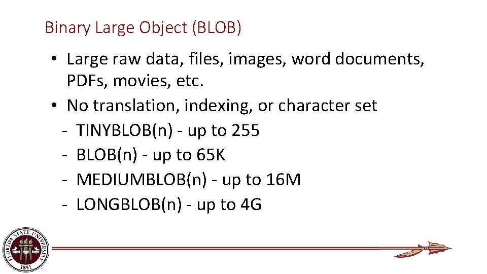 Binary Large Object (BLOB) • Large raw data, files, images, word documents, PDFs, movies,