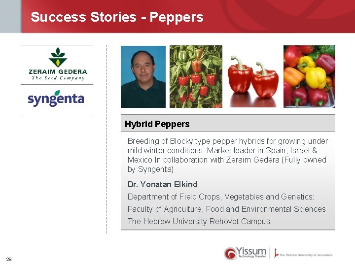 Success Stories - Peppers Hybrid Peppers Breeding of Blocky type pepper hybrids for growing